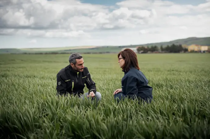 Αναγεννητική γεωργία