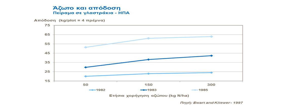 αζωτο αμπελι