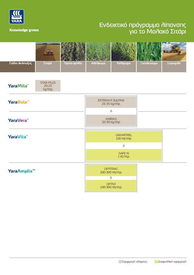 Μαλακό Σιτάρι