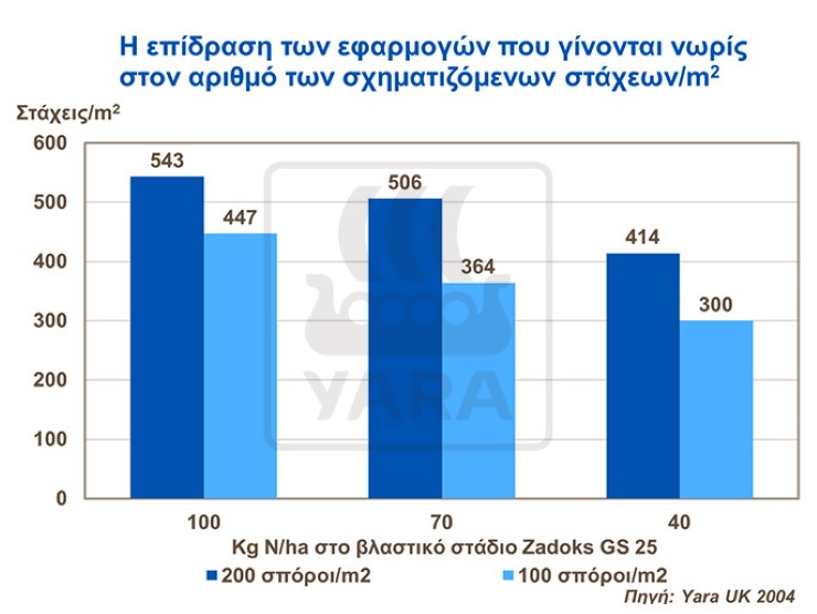 επίδραση του αζώτου