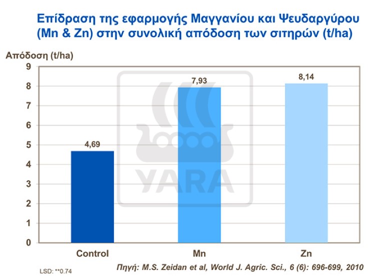 Μαγγάνιο και Ψευδάργυρος