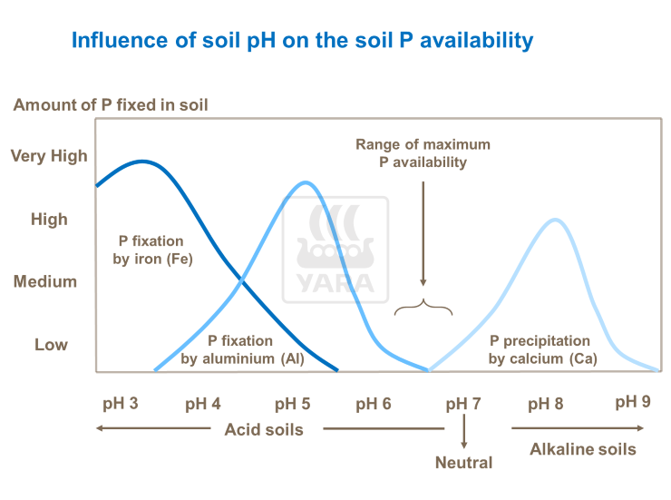 εδαφικός φωσφόρος