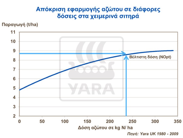 Άζωτο σιτάρι