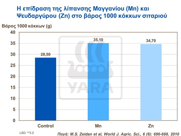 Μαγγάνιο και Ψευδάργυρος σιτάρι
