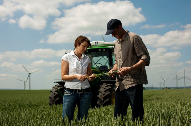 σιτάρι λίπανση