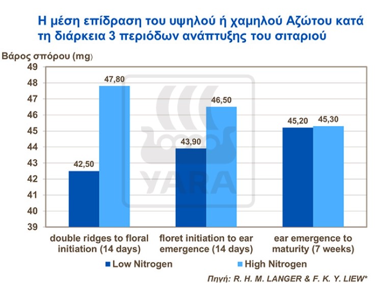 Άζωτο σιτάρι