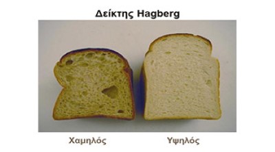 Δείκτης Hagberg