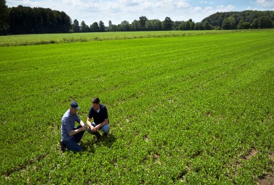 Ο ρόλος των θρεπτικών στοιχείων στο σιτάρι