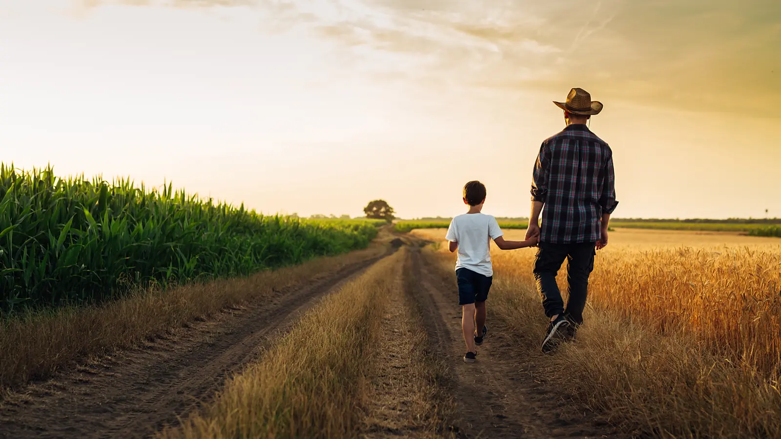 Πατέρας και γιός σε χωράφι με YCC λιπάσματα